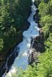 Mountain stream in the summer wood