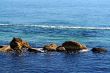 sea and stones