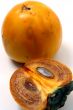 Persimmon isolated in white background