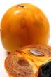 Persimmon isolated in white background