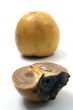 Persimmon isolated in white background