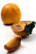 Persimmon isolated in white background