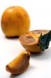 Persimmon isolated in white background