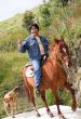 horse rider