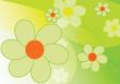 beautiful spring background - flowers