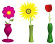 flowers and vases illustration