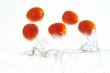 jumping tomatoes
