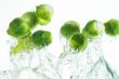 flying Brussels sprouts