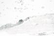big wave