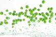 flying peas