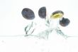 flying plums
