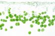 peas splashin into the water