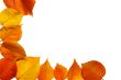 Autumn frame
