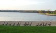 Row of Canadian Geese