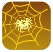 Spider and cobweb