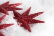 Christmas star