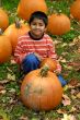 Pumpkins