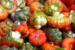 Squash