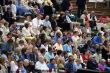 Crowd