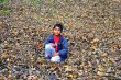 Fall Foliage