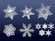 Real snowflakes