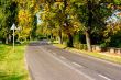 Autumn Road