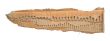 strip of torn out cardboard