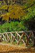 Autumn in the park
