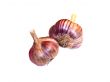 The garlic