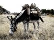 Out of date transportation