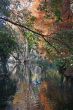 Autumn in the park