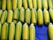 sweet corn
