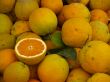 Fresh oranges