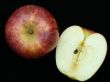 Apples