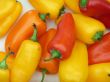 Peppers