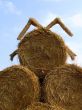 sheaf of hay