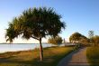 Walking Path By The Water