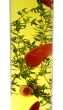 Chillies And Thyme 3