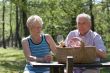 Summer picnic