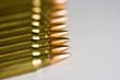 ammo