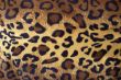 Leopard skin pattern