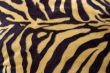 Tiger skin pattern