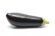 eggplant