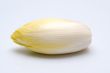 chicory