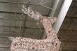Electric Reindeer