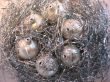 White christmas balls with silver glare