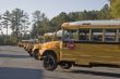 Line of School Buses