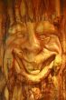 smiling face of an enchanted tree
