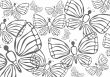 white butterflies background