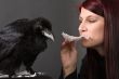 young woman with raven
